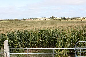 Agriculture Au Royaume-Uni