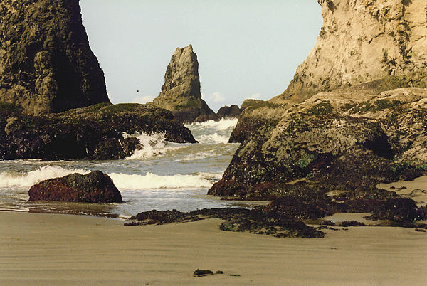 Rock formations along the coast in Bandon (1994)