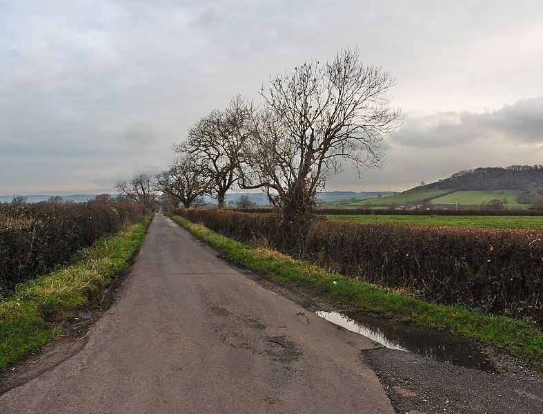 File:Barrow Lane - geograph.org.uk - 6000230.jpg