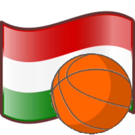 Баскетбол венгрия. Баскетбол в Венгрии. Hungary Basketball Federation. Hungary Basketball Flag.