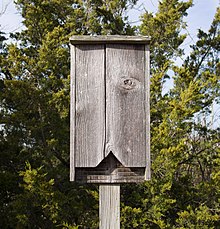 The image depicts a small wooden box on a pole.