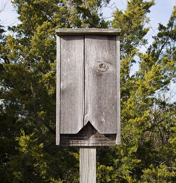 File:Bat box in Jamaica Bay Wildlife Refuge (41119).jpg