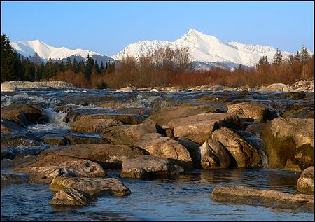 Belá river (Slovakia)