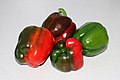 * Nomination Collected bell peppers (Capsicum annuum) -- George Chernilevsky 19:43, 3 October 2020 (UTC) * Promotion Good quality.--Agnes Monkelbaan 04:32, 4 October 2020 (UTC)