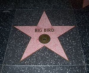 Big Bird is one of two Muppets to have a star on the Hollywood Walk of Fame