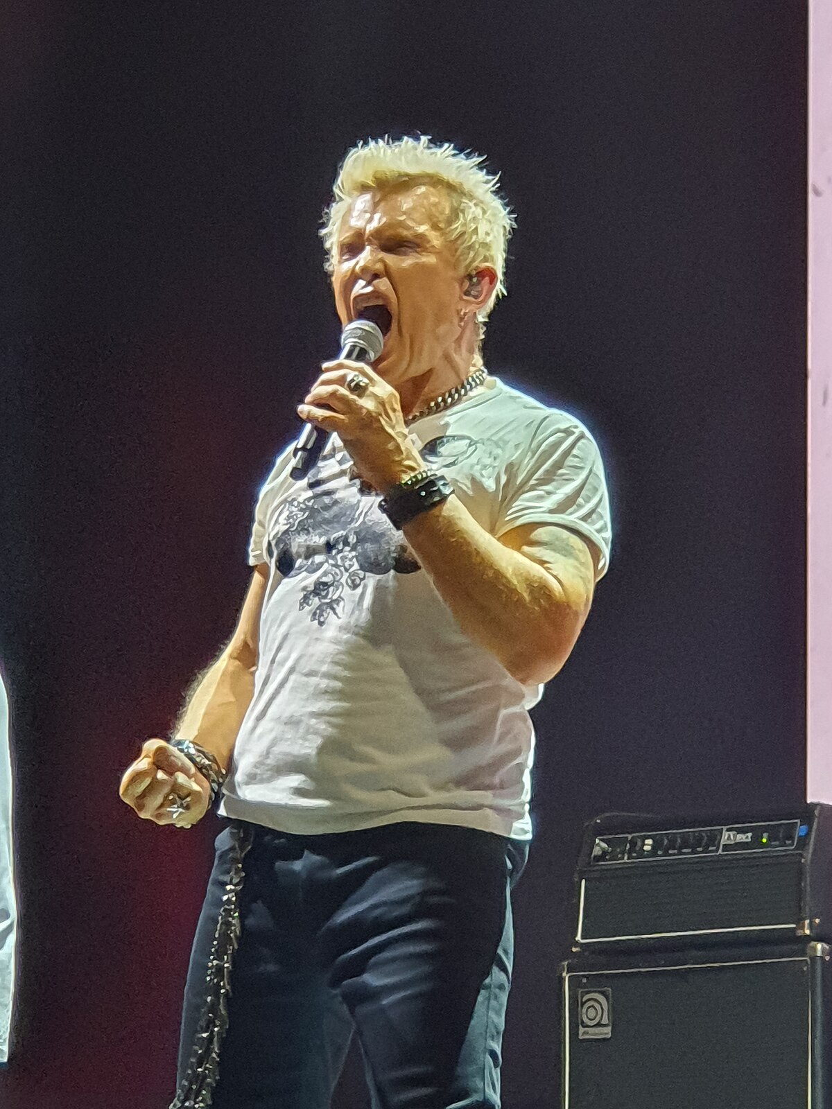 Billy Idol - Wikipedia