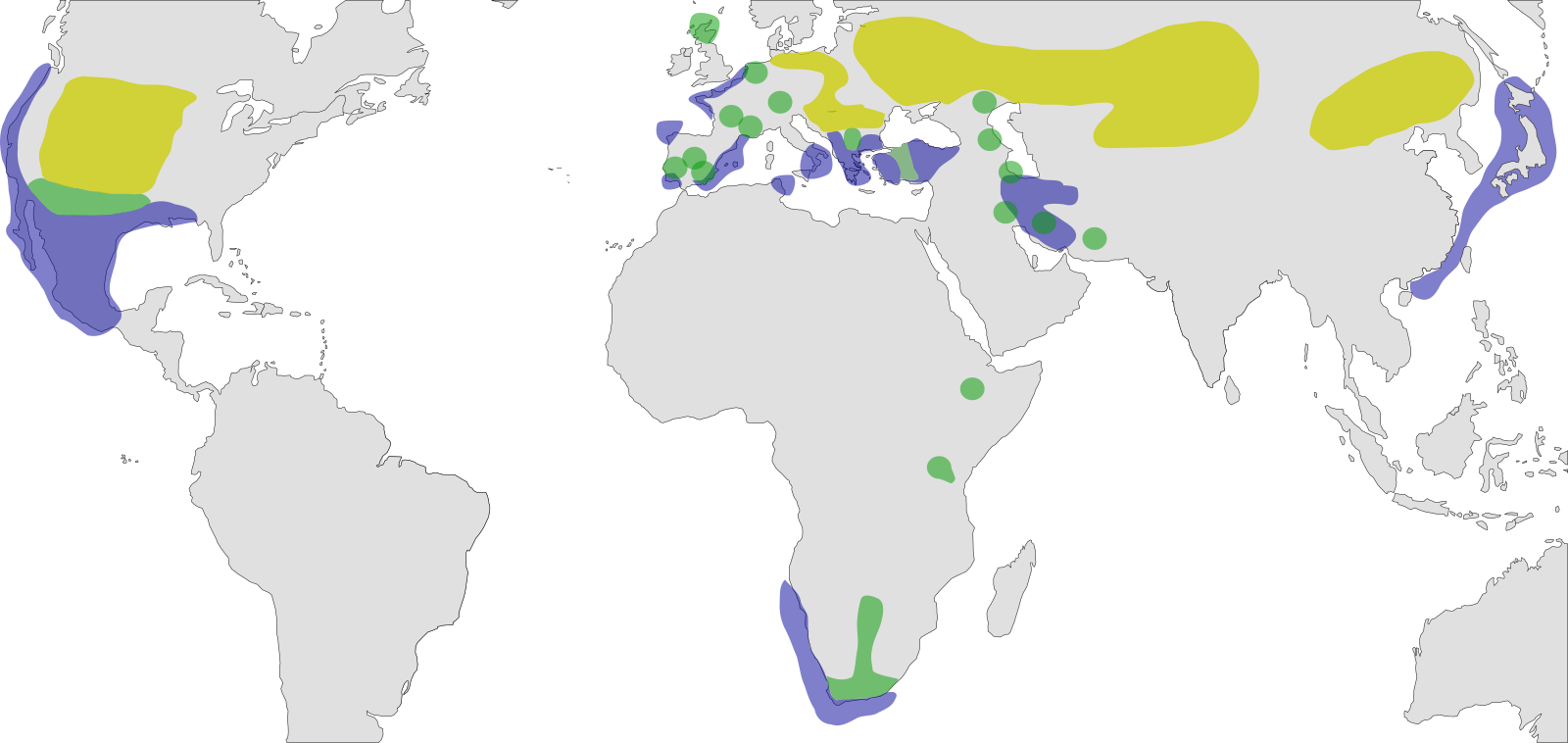 Little map. Черношейная поганка ареал на карте.