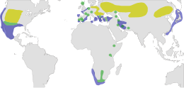 Distribución del zampullín cuellinegro.