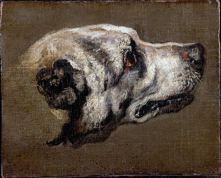 File:Boel, Pieter - Head of a Hound - Google Art Project.jpg