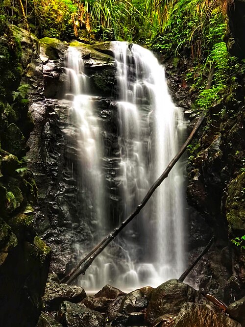 Box Log Falls, Lamington National Park in Queensland