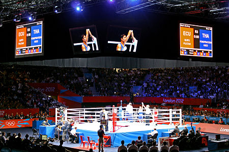 กีฬามวยสากลสมัครเล่นในโอลิมปิกฤดูร้อน 2012 – ไลท์ฟลายเวทชาย