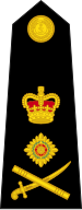 File:British Royal Marines OF-9.svg