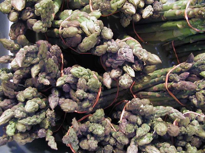 File:BundlesOfAsparagus.jpg