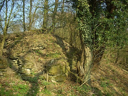 Burg Fürstenberg (Höingen) Mauerreste