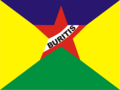 Bandeira de Buritis