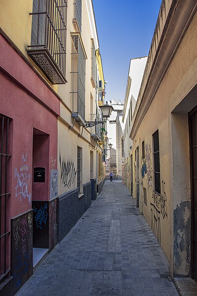 Calle Arrayán