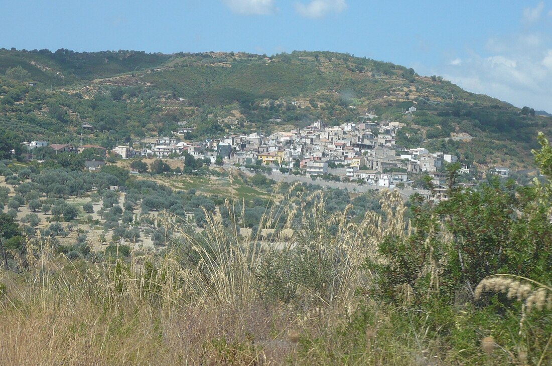 File:CaminiCarna.JPG