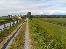 Panorama tipico della campagna cremonese, con una cascina e campi coltivati a mais.