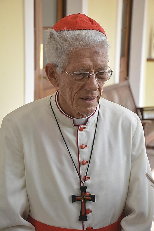 Cardinal Maurice Piat 2017