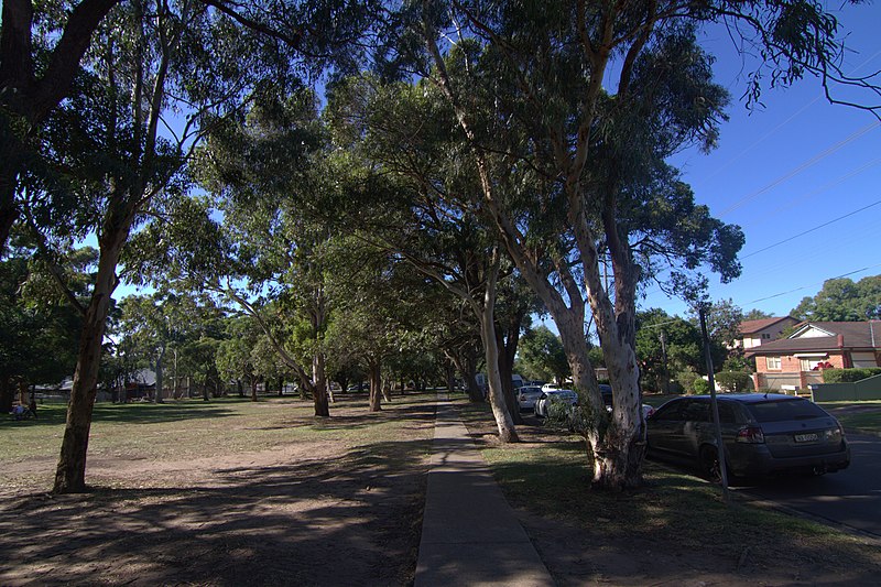 File:Caringbah NSW 2229, Australia - panoramio (5).jpg