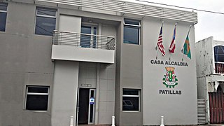 <span class="mw-page-title-main">Patillas barrio-pueblo</span> Historical and administrative center (seat) of Patillas, Puerto Rico