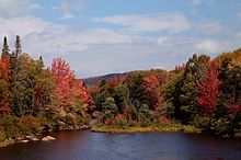 Cedar River Flow in the fall