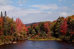 Кедр өзені Fall.jpg