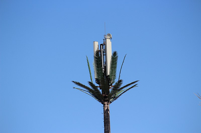 File:Cell Tower in Palm Tree (52188875701).jpg