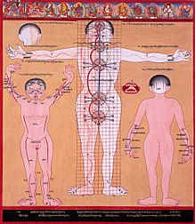 A Tibetan illustration of the subtle body showing the central nadi (channel) and two side channels connecting five chakras Chakras and energy channels 2 (3749594497).jpg