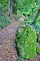 Le chemin de Cadoudal : le sentier 2.