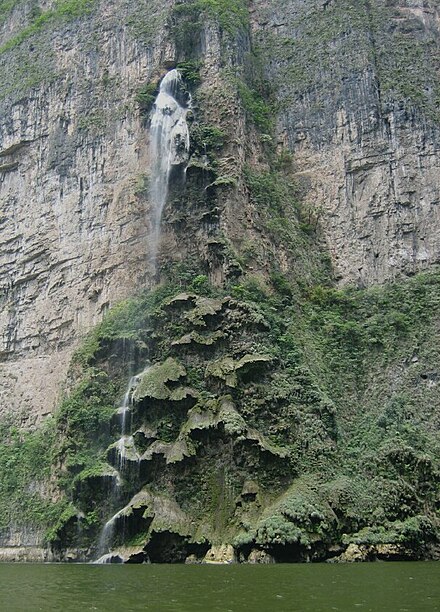 Christmas Tree Falls in Cañón del Sumidero