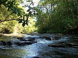 Cleghorn Glen, 20. lipnja 2010. (146) .JPG