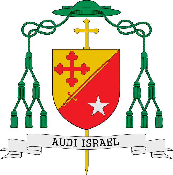 File:Coat of arms of Mgr Marc Aillet.svg