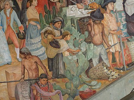 Steps in the cochineal harvest in Oaxaca, public mural by Arturo Garcia Bustos, Mexico