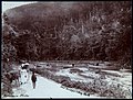 Collectie Nationaal Museum van Wereldculturen TM-60062266 Riviergezicht over Rio Cobre met brug Jamaica J.W.C. Brennan (Fotograaf).jpg