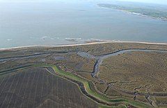 Colne Point Doğa Koruma Alanı - geograph.org.uk - 735415.jpg