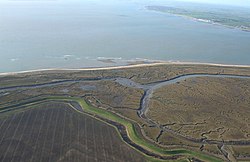 Colne Point Nature Reserve - geograph.org.uk - 735415.jpg