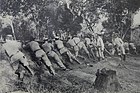 Soldati dell'esercito brasiliano in prima linea nella Guerra dei Contestati, 1914
