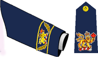 insigne commandant en chef, Canada Air Force