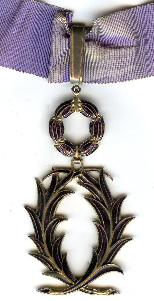 Commander's neck badge and ribbon