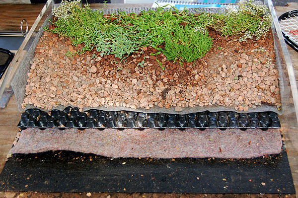 Model of layers and components used in some green roof systems