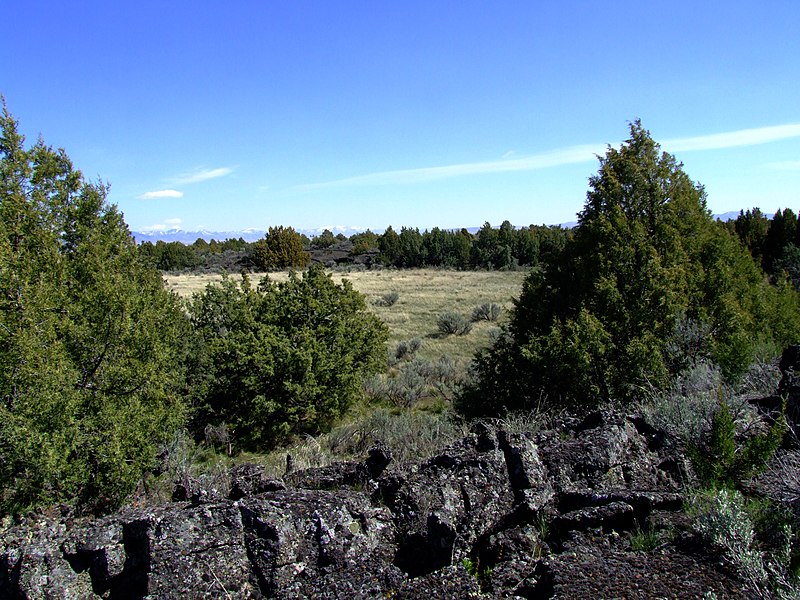 File:Cove - panoramio.jpg