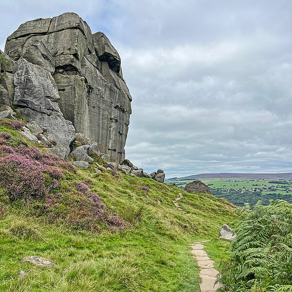 File:Cow and Calf Rocks.jpg