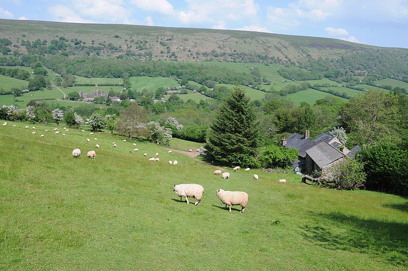 File:Cwm Bwchel Farm, Llanthony, Monmouthshire.jpg