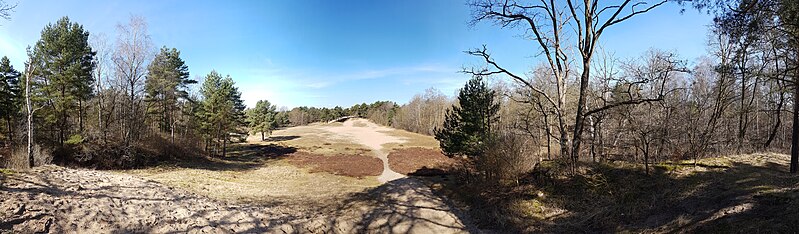 File:Dünenlandschaft der Besenhorster Sandberge und Elbsandwiesen.jpg