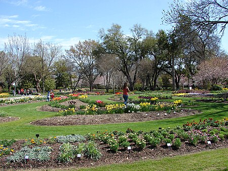 DallasArboretum 6493