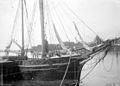 Dans le port de Bayonne, octobre 1897 (2904931386).jpg