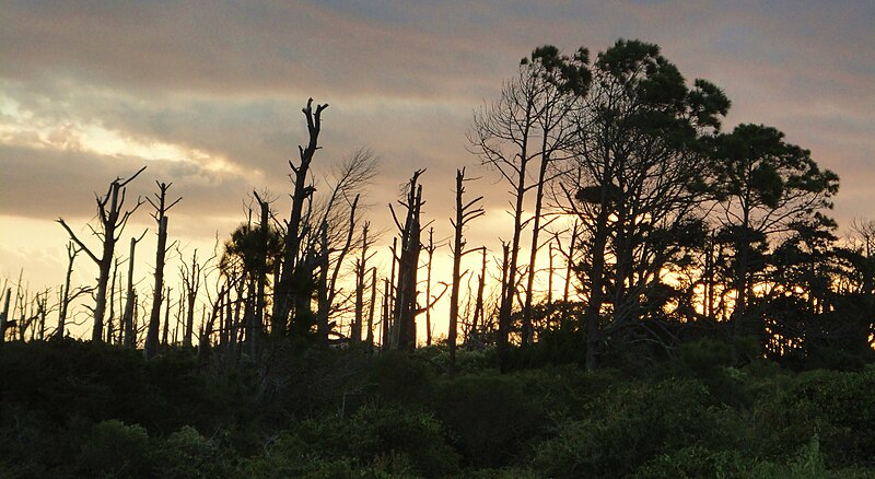 File:Destin Sunset.JPG