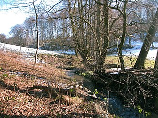 The Rossenbeck, looking east