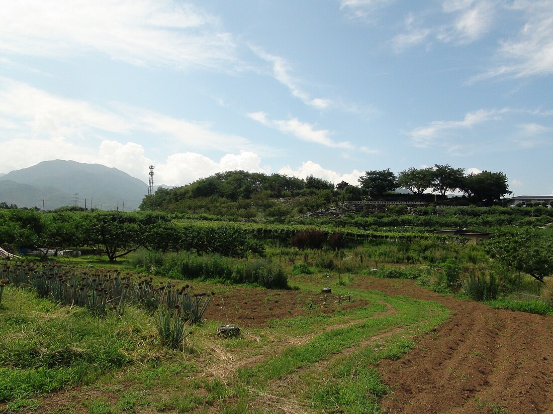 八代町 (山梨県)